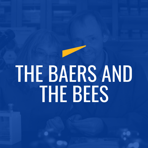 The Baers and the Bees video image