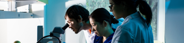 Students performing research in a CNAS lab