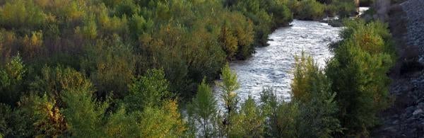 Santa Ana River (c) Christine French