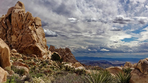 Jack and Marilyn Sweeney Granite Mountains UCR Natural Reserve (c) Douglas Stinson