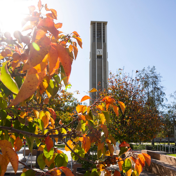 Bell Tower with Fall Leaves