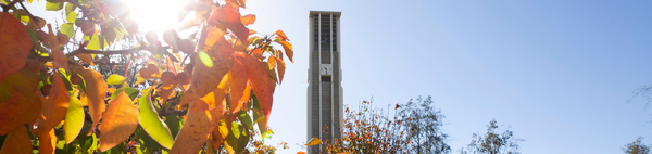 Bell Tower with Fall Leaves