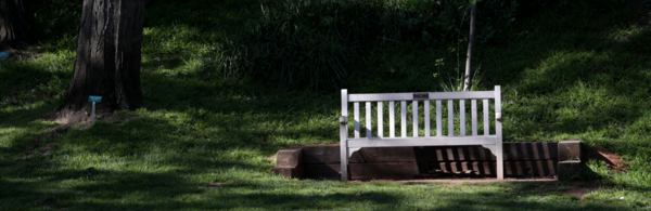 Botanic-Gardens-Bench