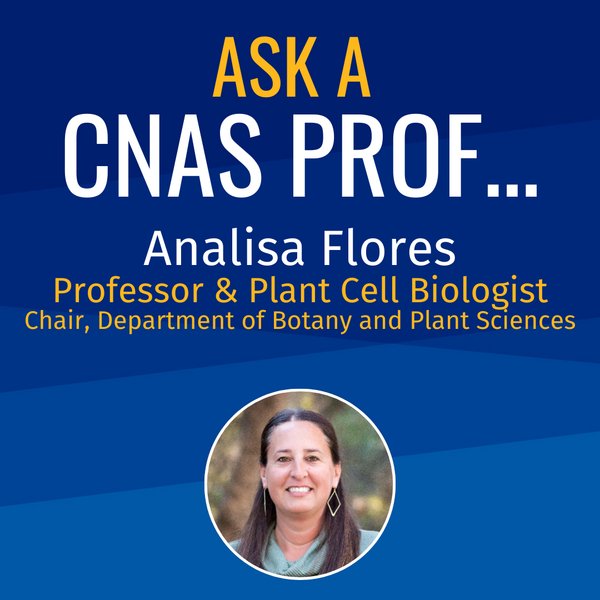 Ask a CNAS Prof Analisa Flores