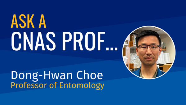 Ask a CNAS Prof Dong-Hwan Choe