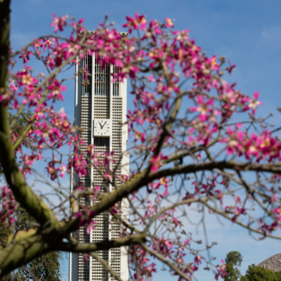 bell-tower