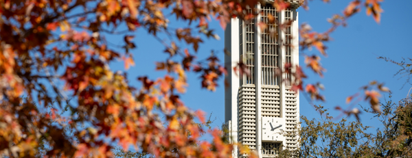 Bell Tower with fall leaves