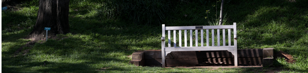Botanic Gardens Bench