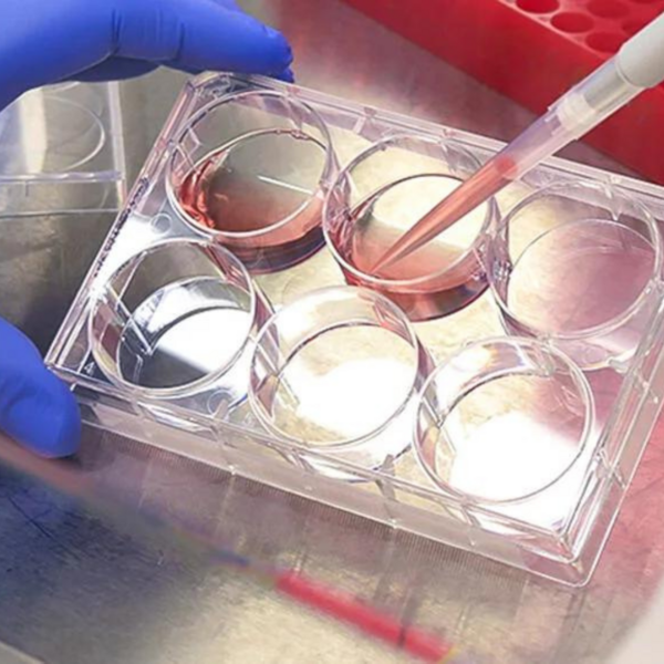 Biochemistry pipet and petri dish in UCR lab