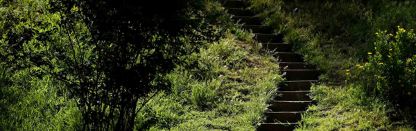Botanic Gardens Stairs