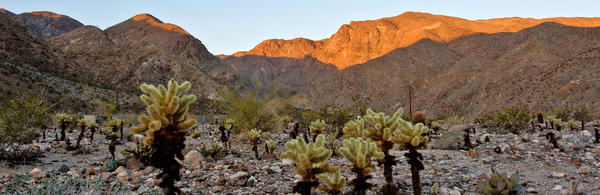 (c) Mark Chapell - Boyd Deep Canyon