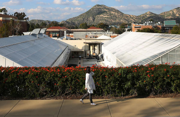 Greenhouses with girl walking (c) UCR / CNAS