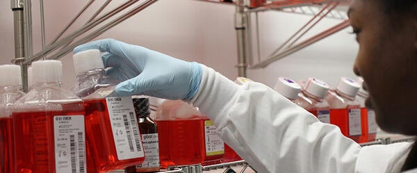 (c) UCR - student looking through chemicals on a shelf