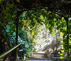 (c) UCR stairs in Botanic Gardens