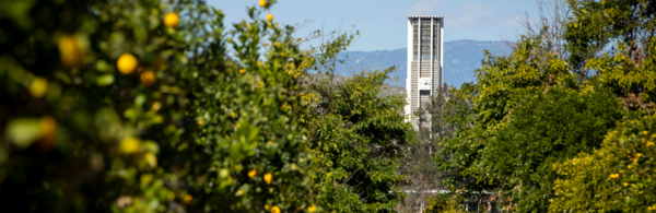 UC Riverside Citrus Field Day - March 2, 2023