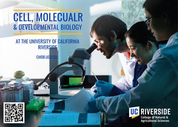 Cell, Molecular & Developmental Biology Grad Brochure