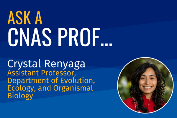 Ask a CNAS Prof Crystal Reynaga