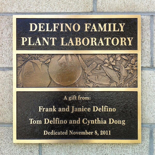 Delfino Family Plant Laboratory Wall Plaque