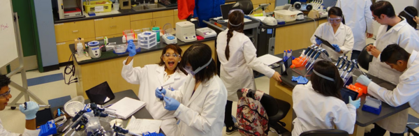 Dynamic Genome Project students conducting research