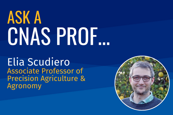 Ask a CNAS Prof Elia Scudiero