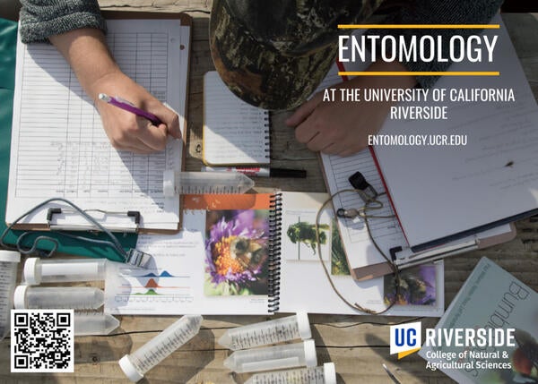 Entomology Grad Brochure