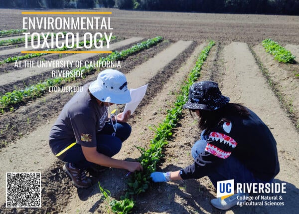 Environmental Toxicology Graduate Brochure