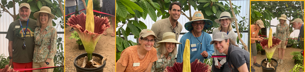 Jodie Holt Photo Collage with Corpse Flower