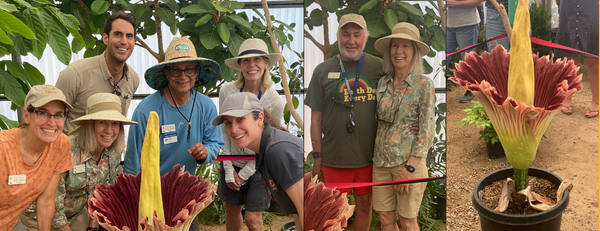Jodie Holt Photo Collage with Corpse Flower