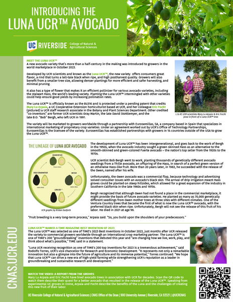 Introducing the Luna UCR Avocado Info Sheet