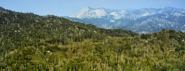 UCR Natural Reserves