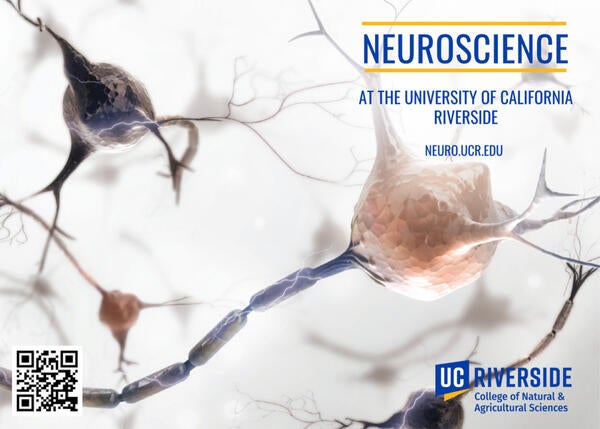 Neuroscience Grad Brochure