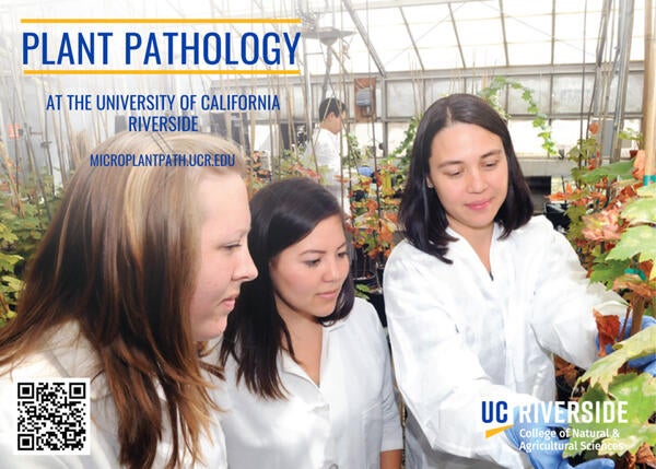 Plant Pathology Grad Brochure