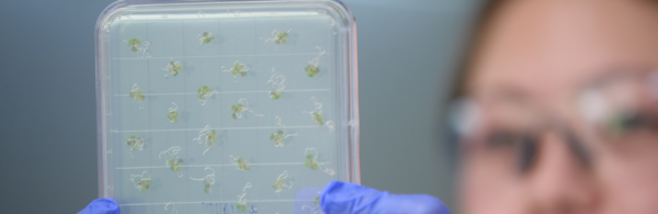 CNAS student holding petri dish