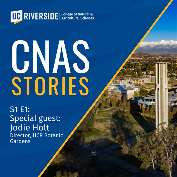 CNAS Stories S1 E1 Jodie Holt