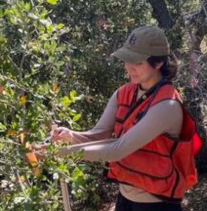 NRS intern Natalie Bonning doing field research