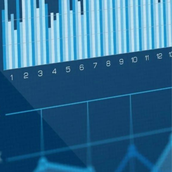 Statistics charts on computer screen