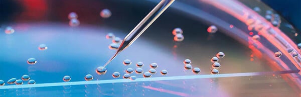 Stem Cell Research credit Healthline