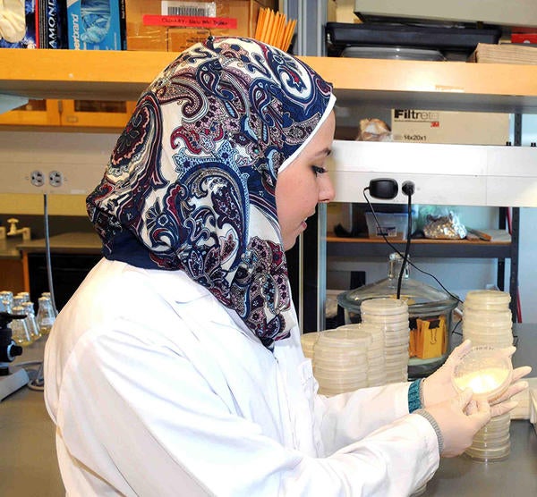 student looking at a petri dish (c) UCR / CNAS