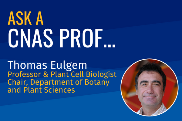 Ask a CNAS Prof Thomas Eulgem