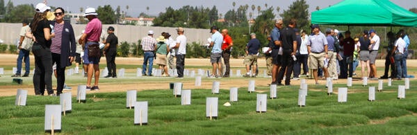 2023 Field Day at UC Riverside Turfgrass Research & Extension