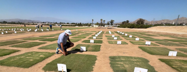 Jim Baird at Turfgrass Field Day