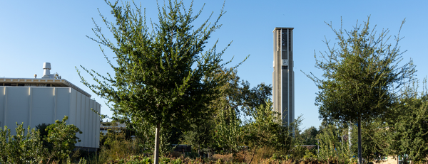 Bell tower with the Native American Garden in the foreground
