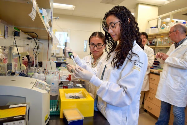 Undergraduate Majors Biochemistry Amber and Merrett in Lab