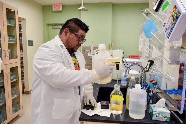 Undergraduate Majors Biochemistry Lab Experiment