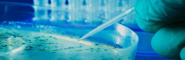Undergraduate Majors Biochemistry Petri Dish