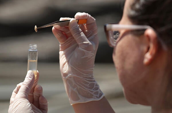 Undergraduate Majors Biology Forensics