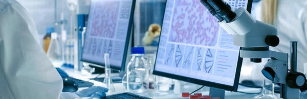 Undergraduate Majors Chemistry
