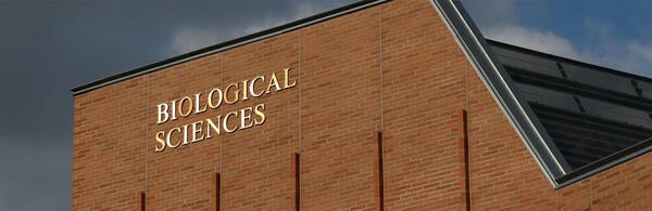 Undergraduate Majors Cell, Molecular, and Developmental Biology Building