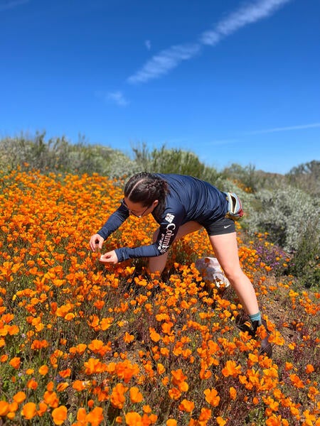 Undergraduate Majors Entomology Student in Wildflowers