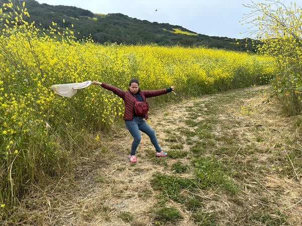 Undergraduate Majors Entomology Student with Butterfly Net